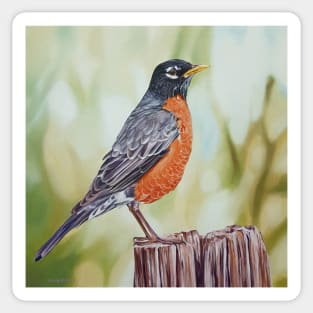 American Robin - bird painting Sticker